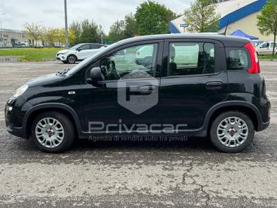 Fiat Panda FIAT Panda 1.0 FireFly S&S Hybrid Nero usata Carpi