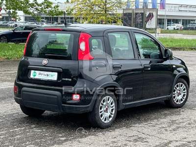 Fiat Panda FIAT Panda 1.0 FireFly S&S Hybrid Nero usata Carpi