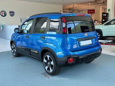 Fiat Pandina 1.0 FireFly Hybrid Blu/Azzurro usata Montagna in Valtellina