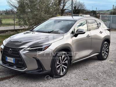 Lexus NX LEXUS NX Plug-in 4WD Premium Grigio usata Macerata