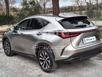 Lexus NX LEXUS NX Plug-in 4WD Premium Grigio usata Macerata