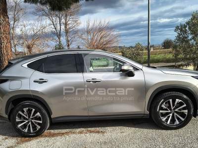 Lexus NX LEXUS NX Plug-in 4WD Premium Grigio usata Macerata