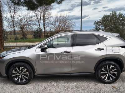 Lexus NX LEXUS NX Plug-in 4WD Premium Grigio usata Macerata