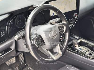 Lexus NX LEXUS NX Plug-in 4WD Premium Grigio usata Macerata