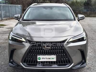 Lexus NX LEXUS NX Plug-in 4WD Premium Grigio usata Macerata