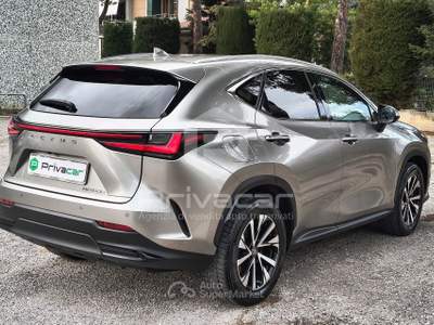 Lexus NX LEXUS NX Plug-in 4WD Premium Grigio usata Macerata