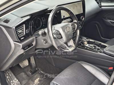 Lexus NX LEXUS NX Plug-in 4WD Premium Grigio usata Macerata