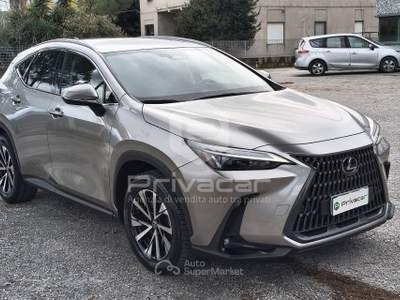 Lexus NX LEXUS NX Plug-in 4WD Premium Grigio usata Macerata