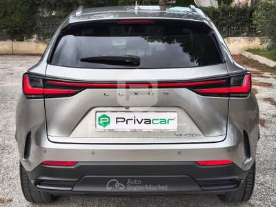 Lexus NX LEXUS NX Plug-in 4WD Premium Grigio usata Macerata