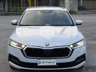 Skoda Octavia SKODA Octavia 2.0 TDI EVO SCR DSG Wagon Executive Bianco usata Macerata