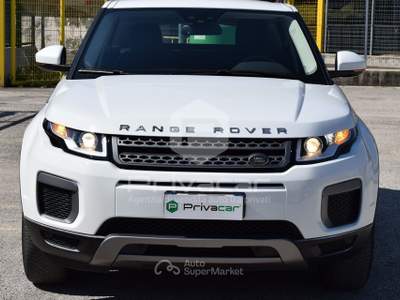 Land Rover Range Rover Evoque LAND ROVER Range Rover Evoque 2.0 TD4 150 CV 5p. Business Edition Bianco usata Macerata