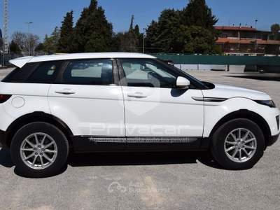 Land Rover Range Rover Evoque LAND ROVER Range Rover Evoque 2.0 TD4 150 CV 5p. Business Edition Bianco usata Macerata
