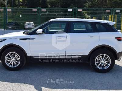 Land Rover Range Rover Evoque LAND ROVER Range Rover Evoque 2.0 TD4 150 CV 5p. Business Edition Bianco usata Macerata