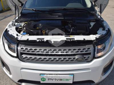 Land Rover Range Rover Evoque LAND ROVER Range Rover Evoque 2.0 TD4 150 CV 5p. Business Edition Bianco usata Macerata