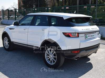 Land Rover Range Rover Evoque LAND ROVER Range Rover Evoque 2.0 TD4 150 CV 5p. Business Edition Bianco usata Macerata