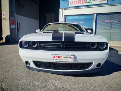 Dodge Challenger tenuta da amatore, immacolata Bianco usata UDINE