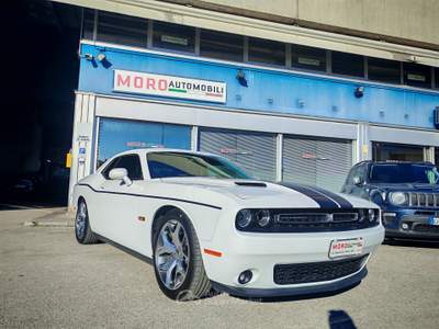 Dodge Challenger tenuta da amatore, immacolata Bianco usata UDINE