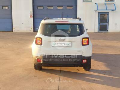 Jeep Renegade JEEP Renegade 1.6 Mjt 105 CV Business Bianco usata San Benedetto del Tronto