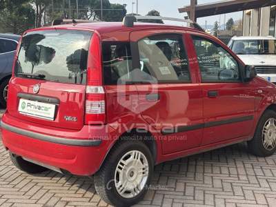 Fiat Panda FIAT Panda 1.4 Active Natural Power Rosso usata Abano Terme