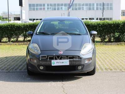 Fiat Punto FIAT Punto 1.3 MJT II S&S 95 CV 5 porte Lounge Grigio usata Reggio nell'Emilia