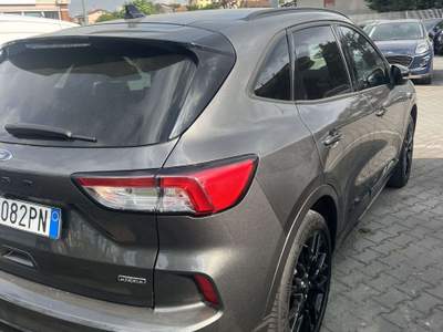 Ford Kuga 2.5 phev ST-Line X 2wd 225cv cvt usata CARRARA
