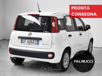 Fiat Panda 1.0 FireFly 70cv S&S Hybrid usata Prato
