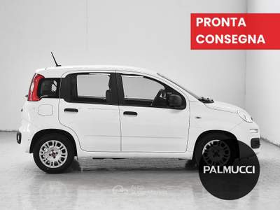 Fiat Panda 1.0 FireFly 70cv S&S Hybrid usata Prato