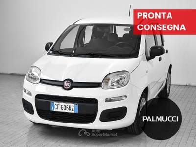 Fiat Panda 1.0 FireFly 70cv S&S Hybrid usata Prato