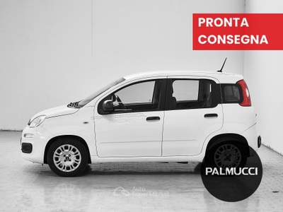 Fiat Panda 1.0 FireFly 70cv S&S Hybrid usata Prato