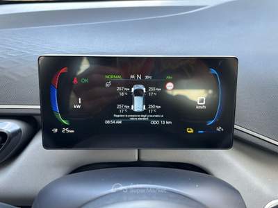 BYD Dolphin 30 kWh Active Nero usata Rovigo