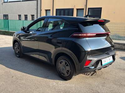 BYD Dolphin 30 kWh Active Nero usata Rovigo