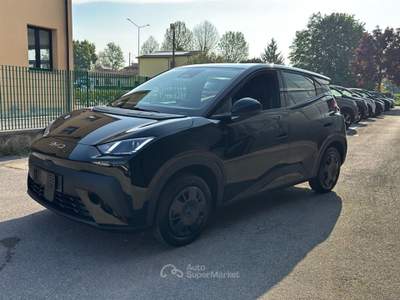 BYD Dolphin 30 kWh Active Nero usata Rovigo
