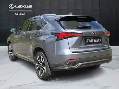 Lexus NX NX 300h 2.5 F Sport 4wd cvt Grigio usata Varese
