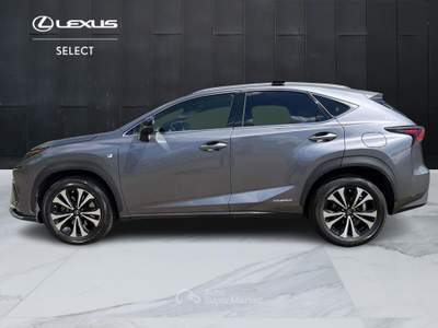 Lexus NX NX 300h 2.5 F Sport 4wd cvt Grigio usata Varese