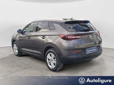 Opel Grandland X 1.5 Ecotec Diesel 130cv Business S&S Grigio usata Lerici