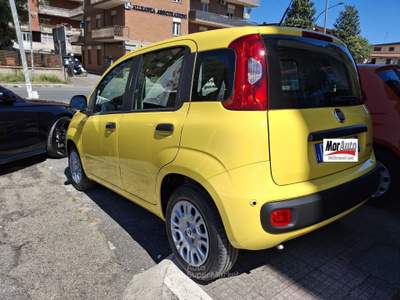 Fiat Pandina Fiat Pandina 1.0 firefly PopHybrid Giallo usata Monterotondo