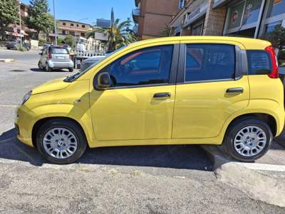 Fiat Pandina Fiat Pandina 1.0 firefly PopHybrid Giallo usata Monterotondo