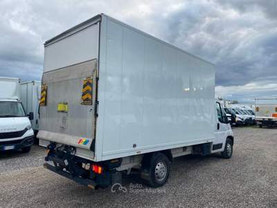 Citroen Jumper  Bianco usata Marino