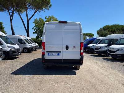Fiat Ducato  Bianco usata Marino