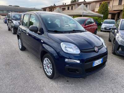Fiat Panda 1.2 Easy Blu/Azzurro usata Sinalunga