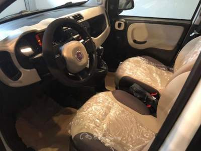 Fiat Panda Lounge /RATE / FINANZIAMENTI Bianco usata Benevento