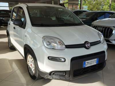 Fiat Panda 1.0 FireFly S&S Hybrid Bianco usata San Vito dei Normanni