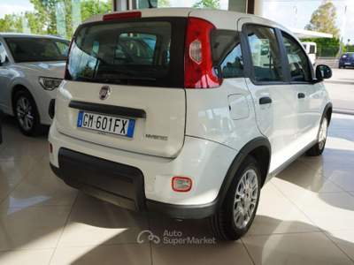 Fiat Panda 1.0 FireFly S&S Hybrid Bianco usata San Vito dei Normanni