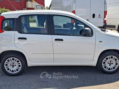Fiat Panda NESSUN OBBLIGO DI FINANZIAMENTO, PRONTA CONSEGNA Bianco usata Pioltello