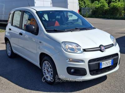 Fiat Panda NESSUN OBBLIGO DI FINANZIAMENTO, PRONTA CONSEGNA Bianco usata Pioltello