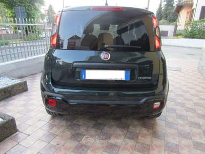 Fiat Panda 1.0 FireFly S&S Hybrid City Cross Verde usata Jerago con Orago