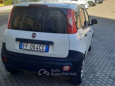Fiat Panda  1.3 MJT 80 CV S&S Easy Bianco usata Certaldo
