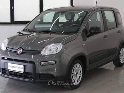 Fiat Panda 1.0 FireFly S&S Hybrid Grigio usata Potenza