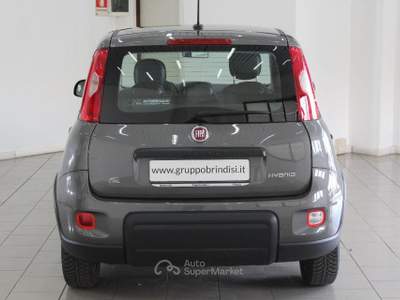 Fiat Panda 1.0 FireFly S&S Hybrid Grigio usata Potenza