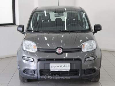 Fiat Panda 1.0 FireFly S&S Hybrid Grigio usata Potenza